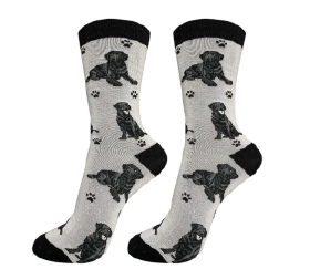 dog sock