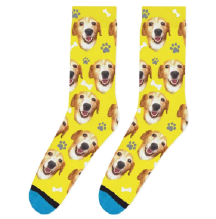 dog sock