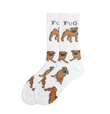 dog sock