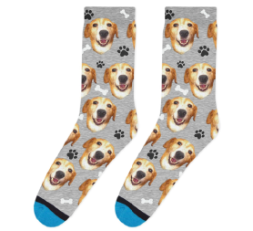 dog sock