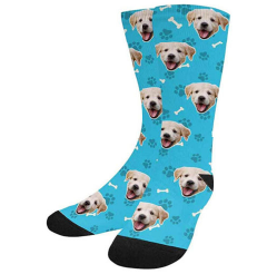 dog sock