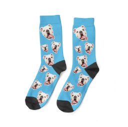 dog sock