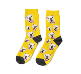 dog sock