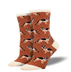 dog sock